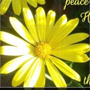 Meet your Posher, Robin